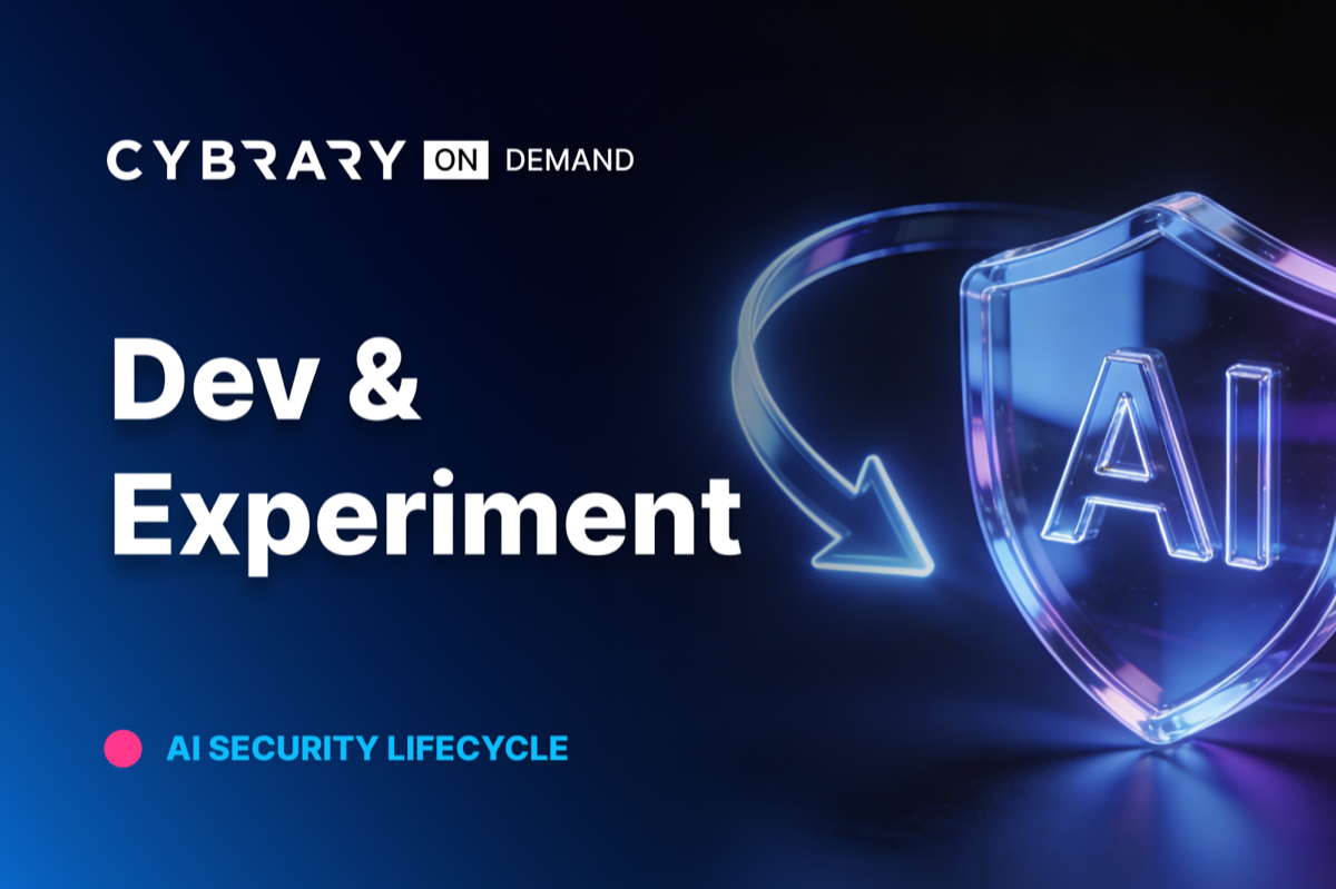 Cybrary development and experimentation graphic