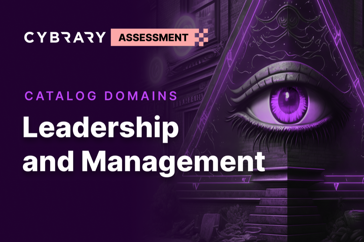 Cybrary leadership assessment campaign