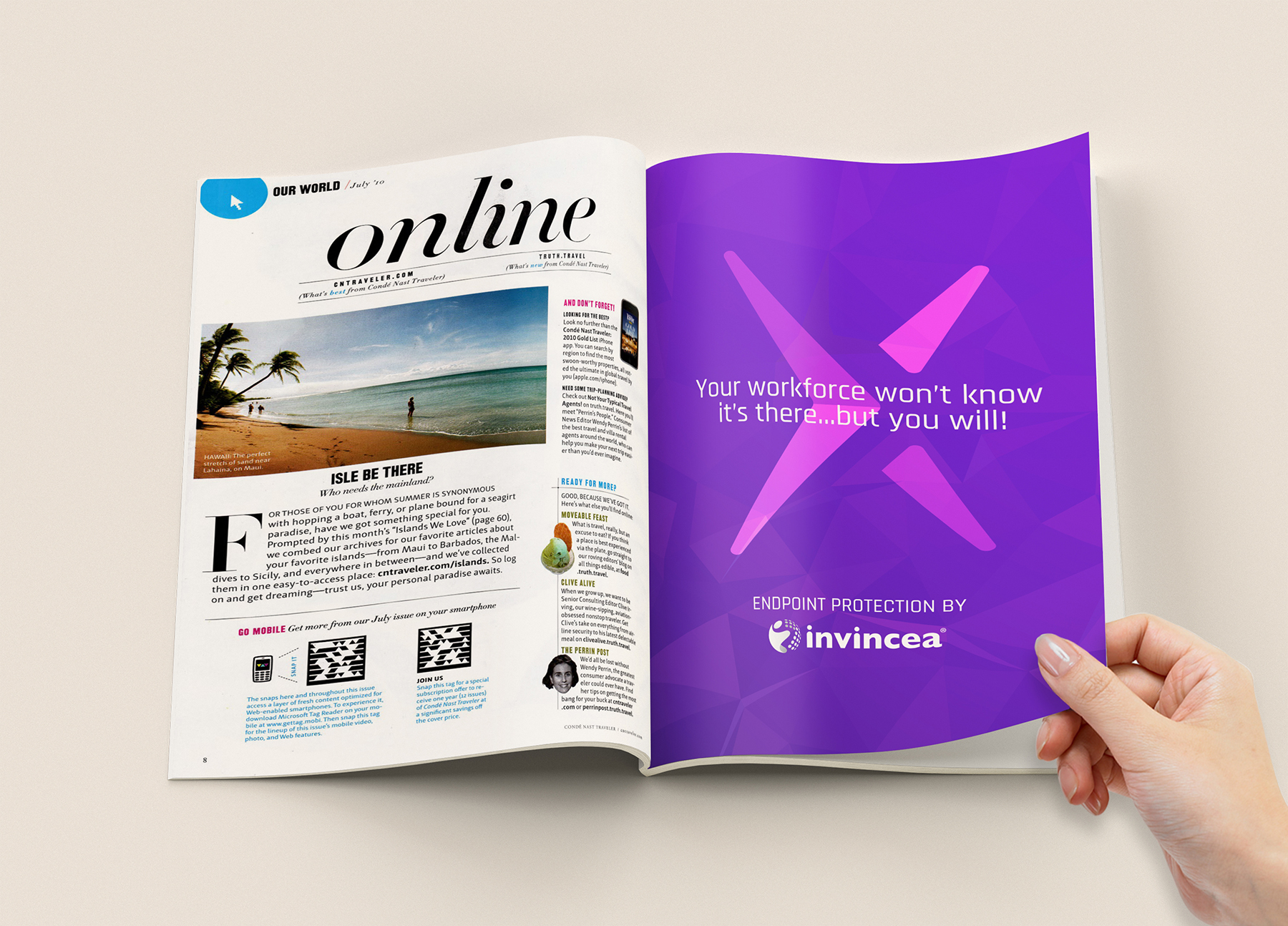 Invincea printed collateral photography